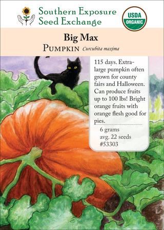 53303 - Big Max
