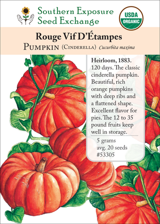 53305 Rouge Vif D'Etampes