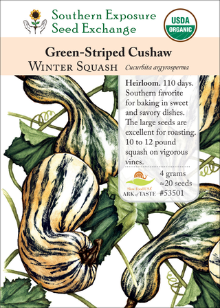 53501 Green-Striped Cushaw