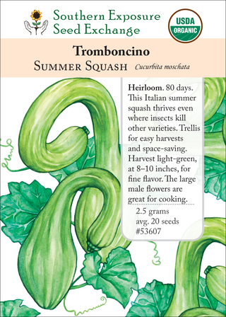 53607 Tromboncino
