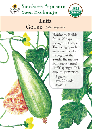 54501 Luffa