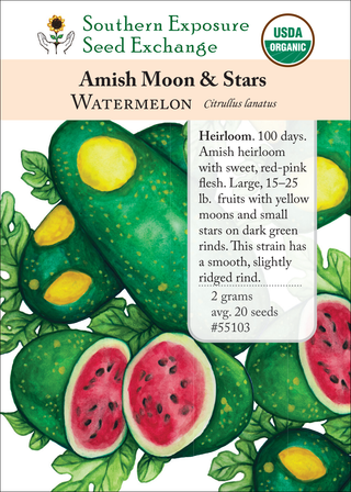 55103 Amish Moon and Stars