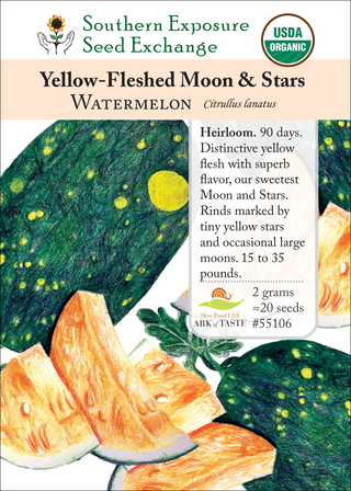 55106 Yellow-Fleshed Moon and Stars