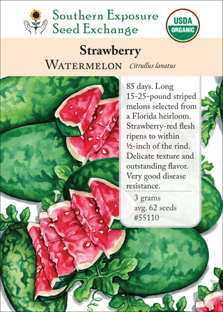 55110 Strawberry