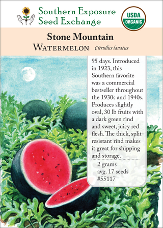 55117 - Stone Mountain