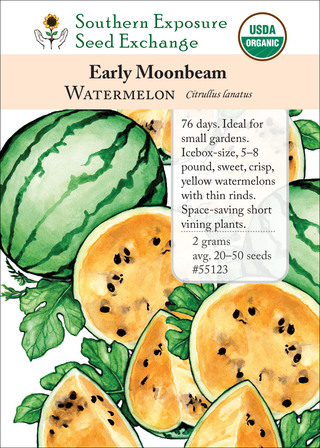55123 Early Moonbeam
