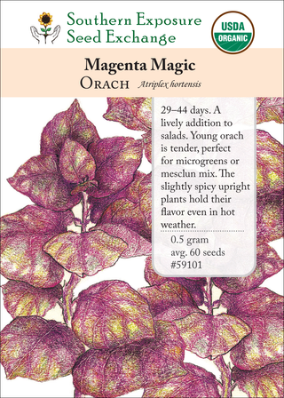59101 Magenta Magic
