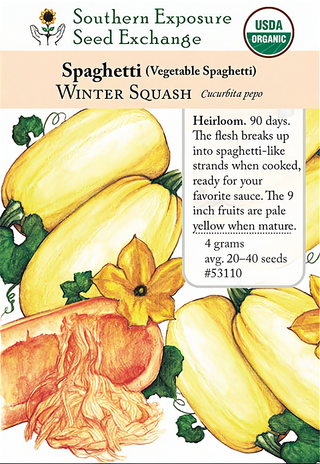 53110 - Spaghetti Squash