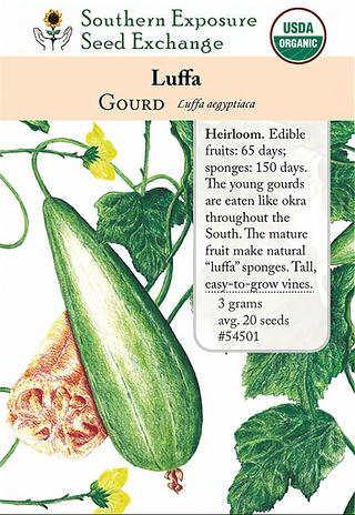 54501 - Luffa (Loofah)