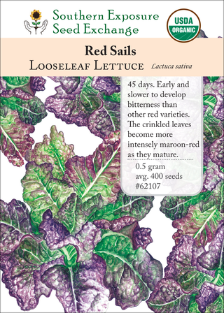 62107 Red Sails