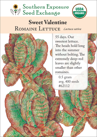 62112 Sweet Valentine