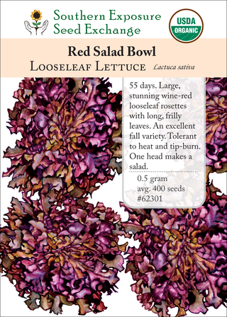 62301 - Red Salad Bowl