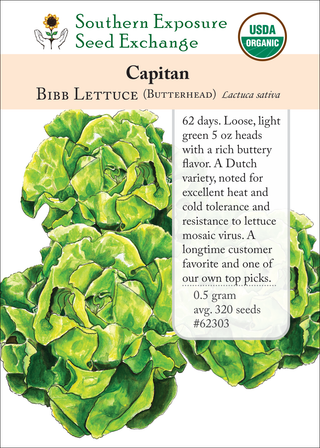 62303 Capitan