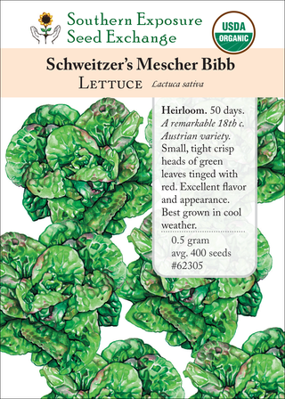 62305 Schweitzer's Mescher Bibb