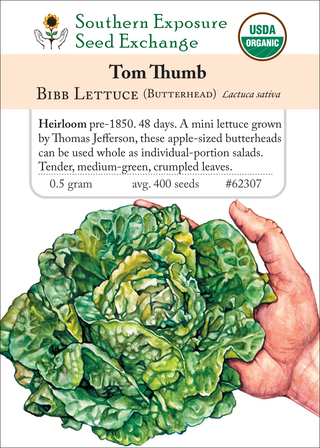 62307 Tom Thumb