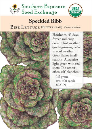 62309 Speckled Bibb