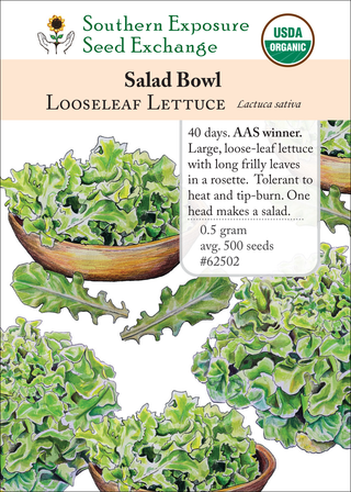 62502 Salad Bowl