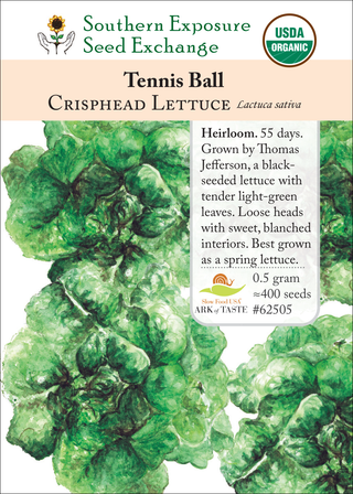 62505 Tennis Ball