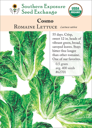 62701 Cosmo