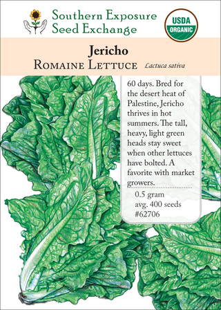 62706 Jericho