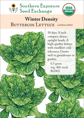 62802 Winter Density