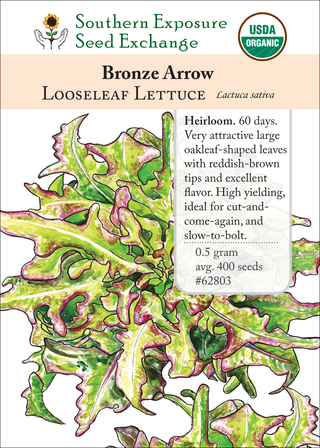 62803 - Bronze Arrow
