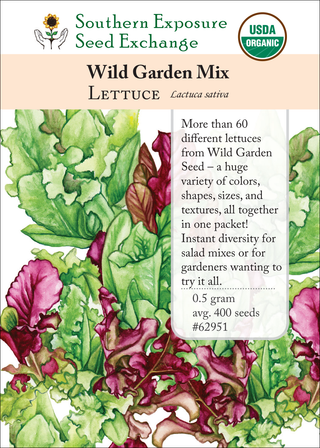 62951 Wild Garden Mix