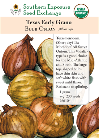 66104 Texas Early Grano
