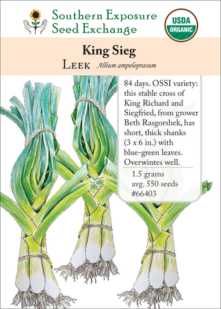66403 King Sieg