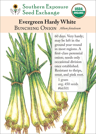 66501 Evergreen Hardy White