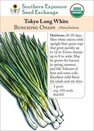 66505 tokyo long white bunching onion