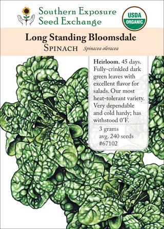 67102 long standing bloomsdale spinach