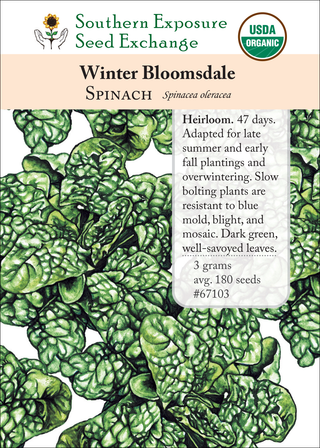 67103 winter bloomsdale spinach