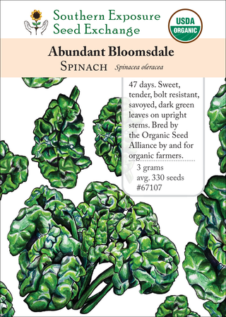 67107 Abundant Bloomsdale