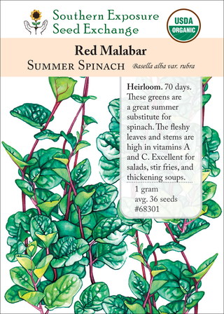 68301 Red Malabar