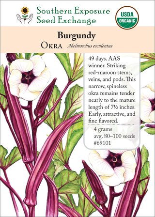 69101 Burgundy