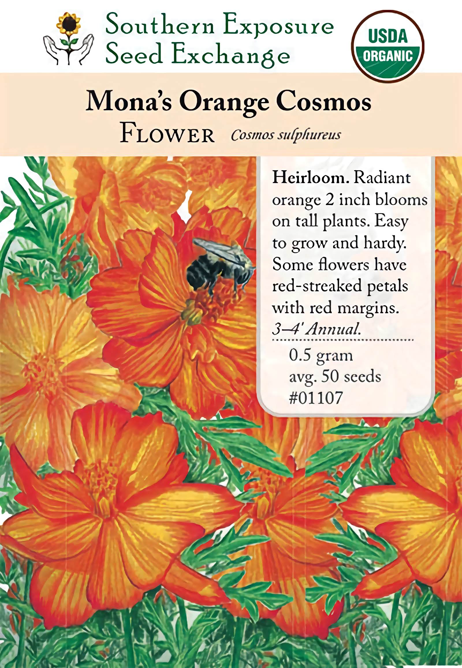 orange cosmos flower seeds Cosmos, Mona's Orange