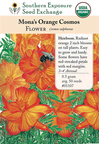 01107 - Cosmos, Mona's Orange