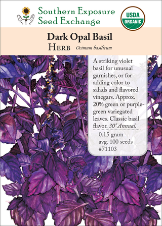 71103 Dark Opal Basil