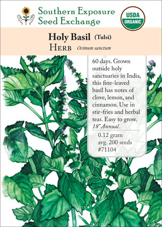 71104 Holy Basil