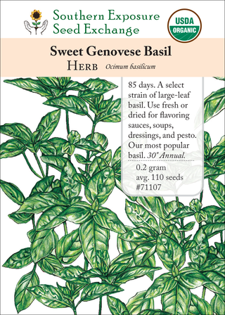 71107 Sweet Genovese
