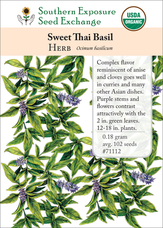 71112 sweet thai basil herb