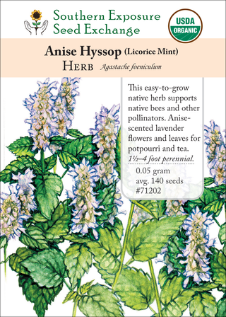 71202 Anise Hyssop (Licorice Mint)