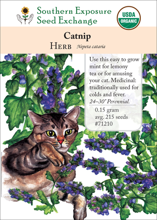 71210 Catnip