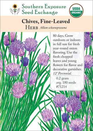 71214 - Chives, Fine-Leaved