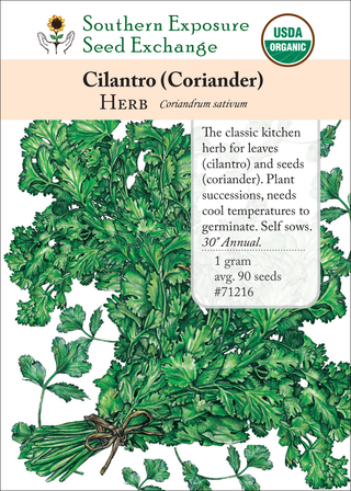 71216 Cilantro