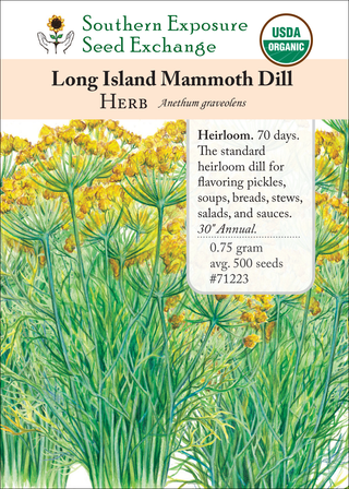 71223 Long Island Mammoth Dill