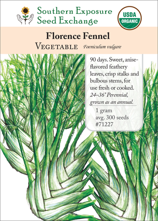 71227 Florence Fennel