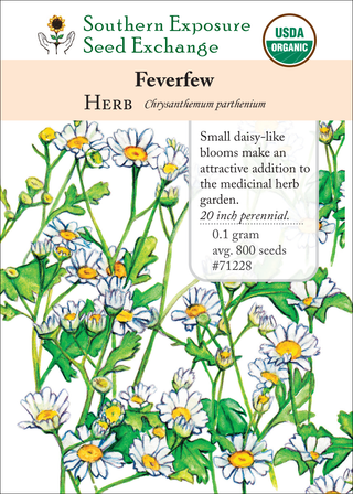 71228 Feverfew