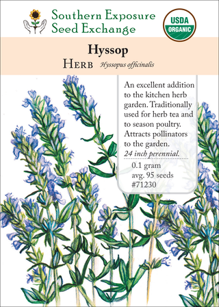 71230 Hyssop